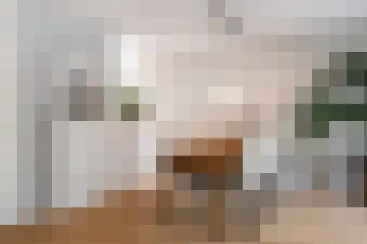 Nat King Colestraat 17 Zaandijk thumbnail 15