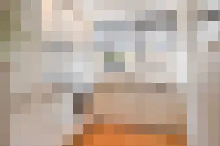 Nat King Colestraat 17 Zaandijk thumbnail 19