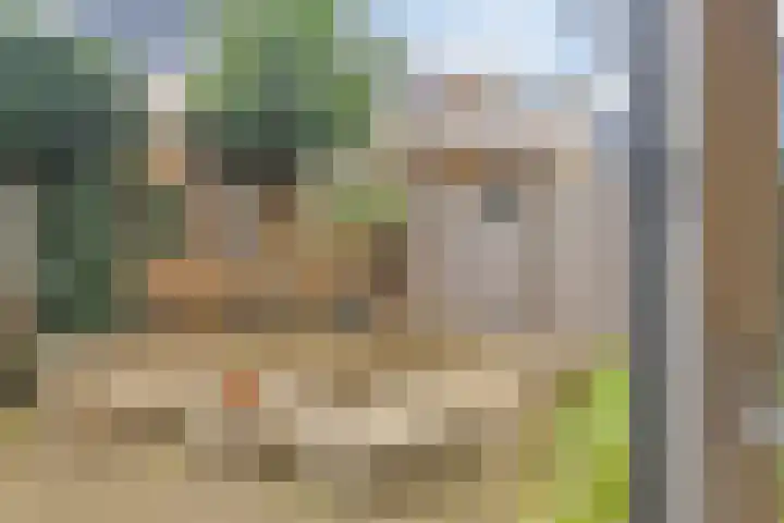 Nat King Colestraat 17 Zaandijk thumbnail 5