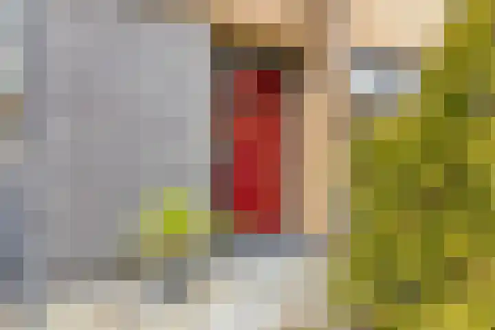 Nat King Colestraat 17 Zaandijk thumbnail 8