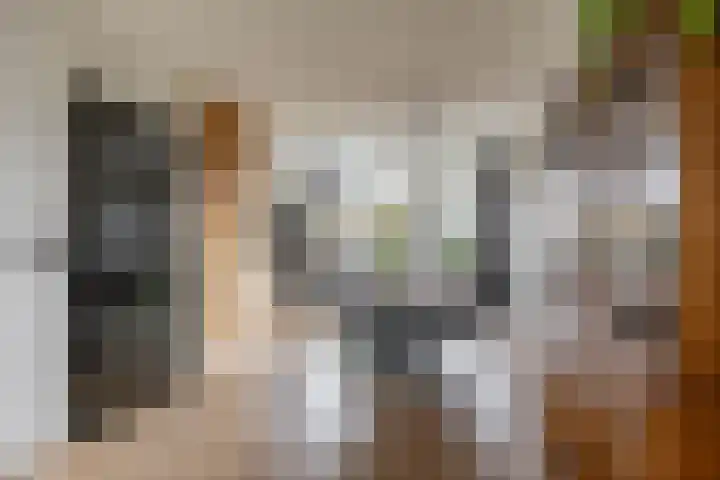 Natalie Barneykade 16 Groningen thumbnail 25