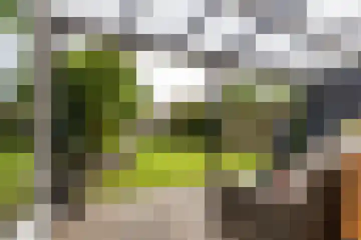 Natalie Barneykade 16 Groningen thumbnail 53