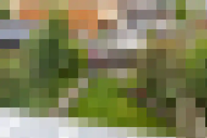 Natalie Barneykade 16 Groningen thumbnail 60