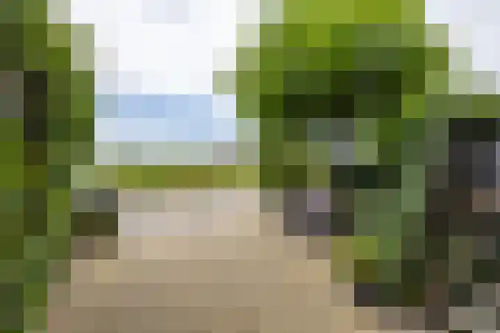 Natalie Barneykade 16 Groningen thumbnail 64
