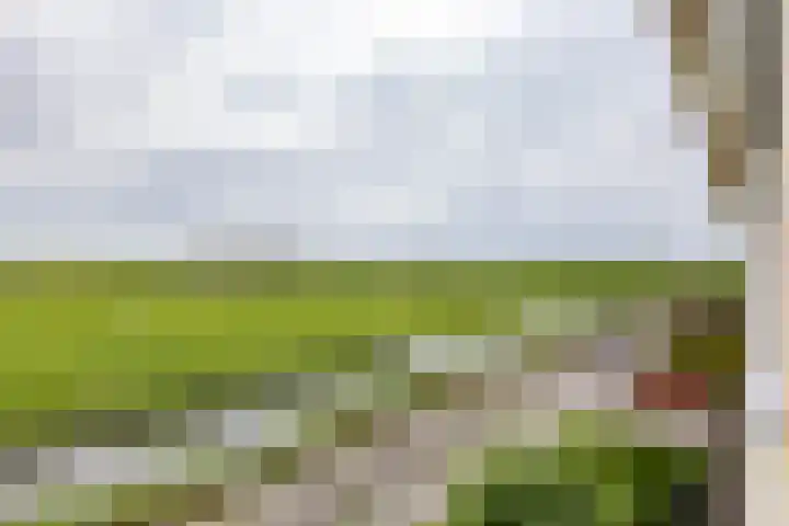 Natalie Barneykade 16 Groningen thumbnail 65