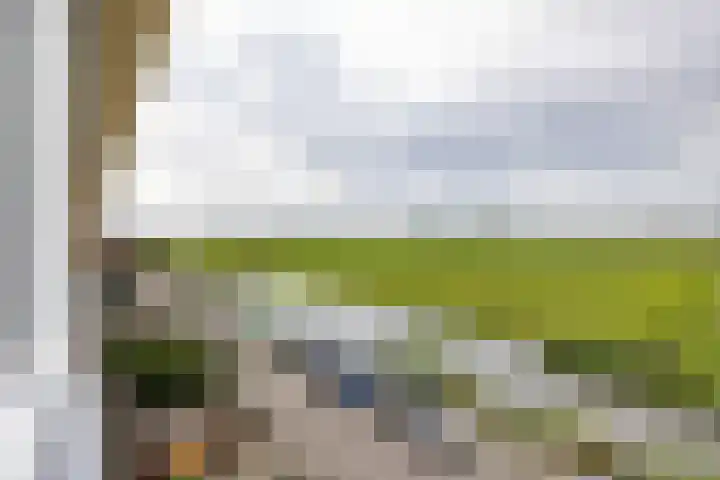 Natalie Barneykade 16 Groningen thumbnail 66