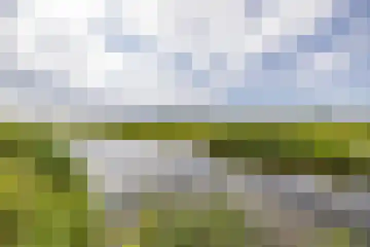 Natalie Barneykade 16 Groningen thumbnail 67