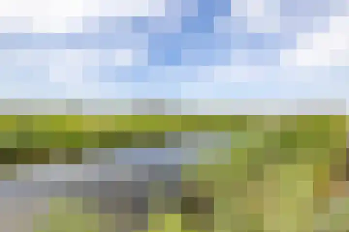 Natalie Barneykade 16 Groningen thumbnail 68