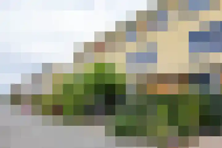 Natalie Barneykade 16 Groningen thumbnail 69