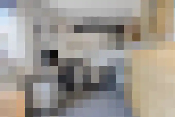Natalie Barneykade 32 Groningen thumbnail 10