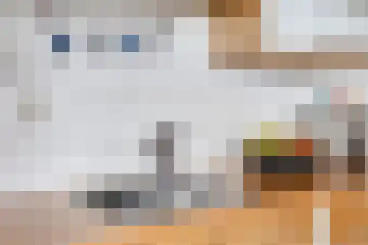 Natalie Barneykade 32 Groningen thumbnail 22