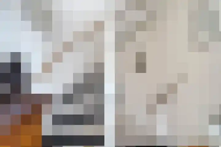 Natalie Barneykade 32 Groningen thumbnail 25