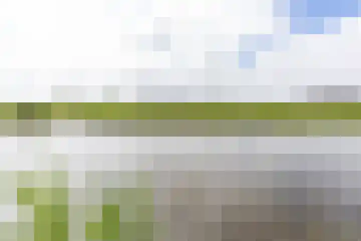 Natalie Barneykade 6 Groningen thumbnail 37