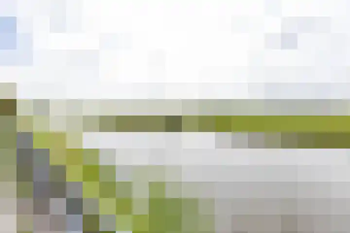 Natalie Barneykade 6 Groningen thumbnail 39