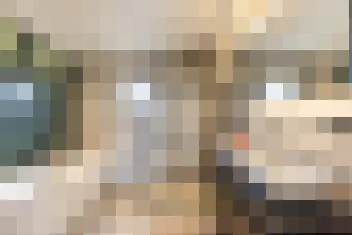 Natalie Barneykade 6 Groningen thumbnail 4