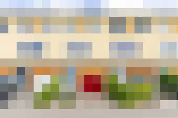 Natalie Barneykade 6 Groningen thumbnail 5