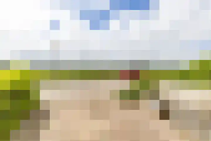 Natalie Barneykade 6 Groningen thumbnail 6