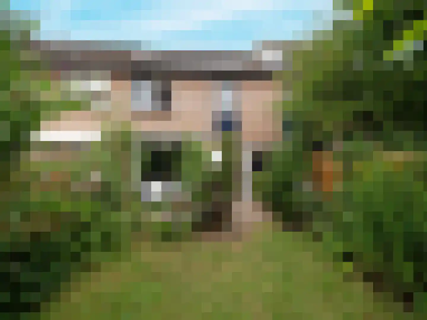Natalstraat 18 Nijmegen thumbnail 25