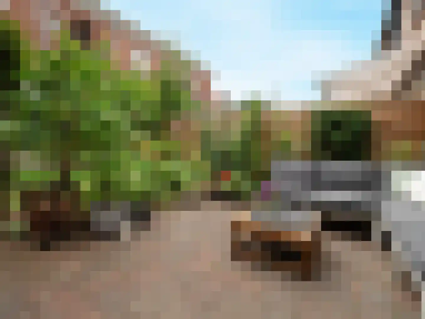 Natalstraat 18 Nijmegen thumbnail 27