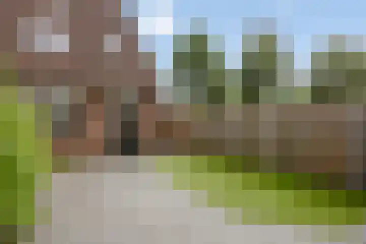 Natewischstede 9 's-Hertogenbosch thumbnail 29