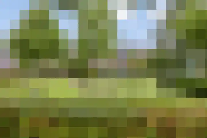 Natewischstede 9 's-Hertogenbosch thumbnail 32