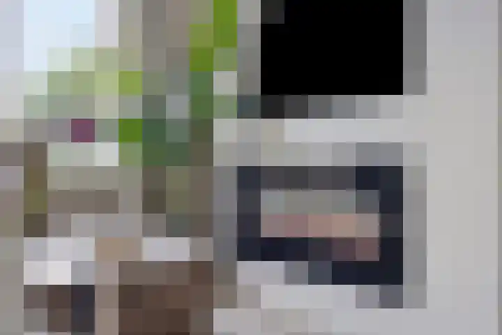 Natewischstede 9 's-Hertogenbosch thumbnail 8
