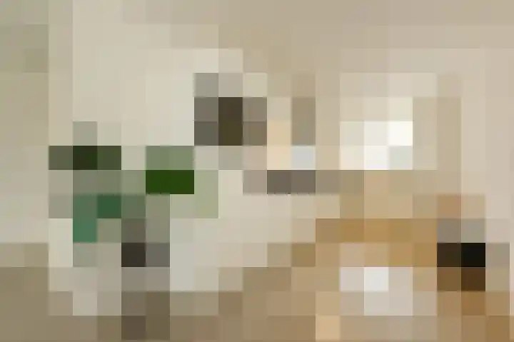 Nathaliegang 108 Zoetermeer thumbnail 18