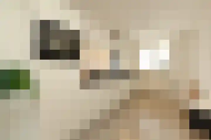 Nathaliegang 108 Zoetermeer thumbnail 19