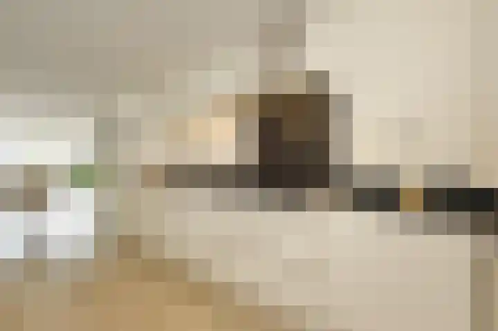 Nathaliegang 108 Zoetermeer thumbnail 20