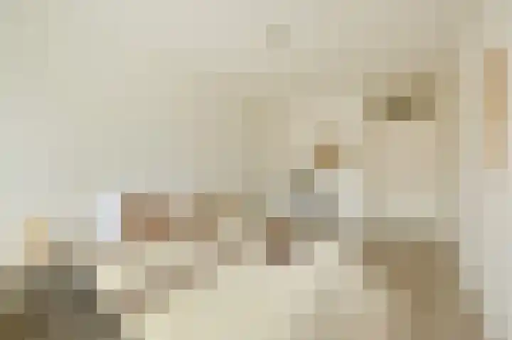 Nathaliegang 108 Zoetermeer thumbnail 25