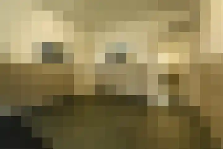 Nathaliegang 108 Zoetermeer thumbnail 7