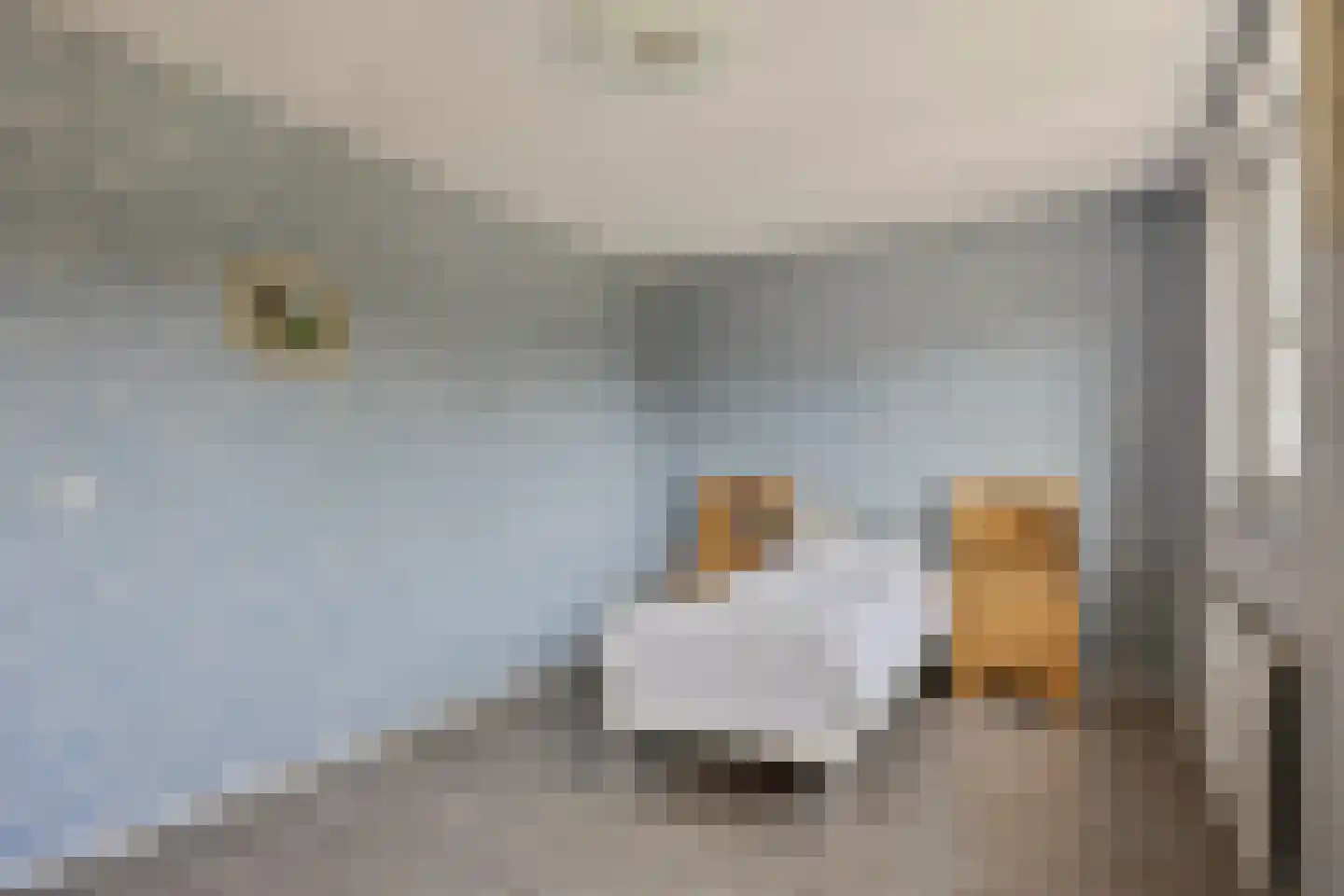 Nathaliegang 148 Zoetermeer thumbnail 17