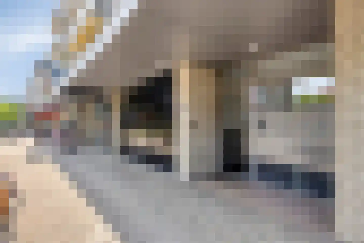 Nathaliegang 148 Zoetermeer thumbnail 29