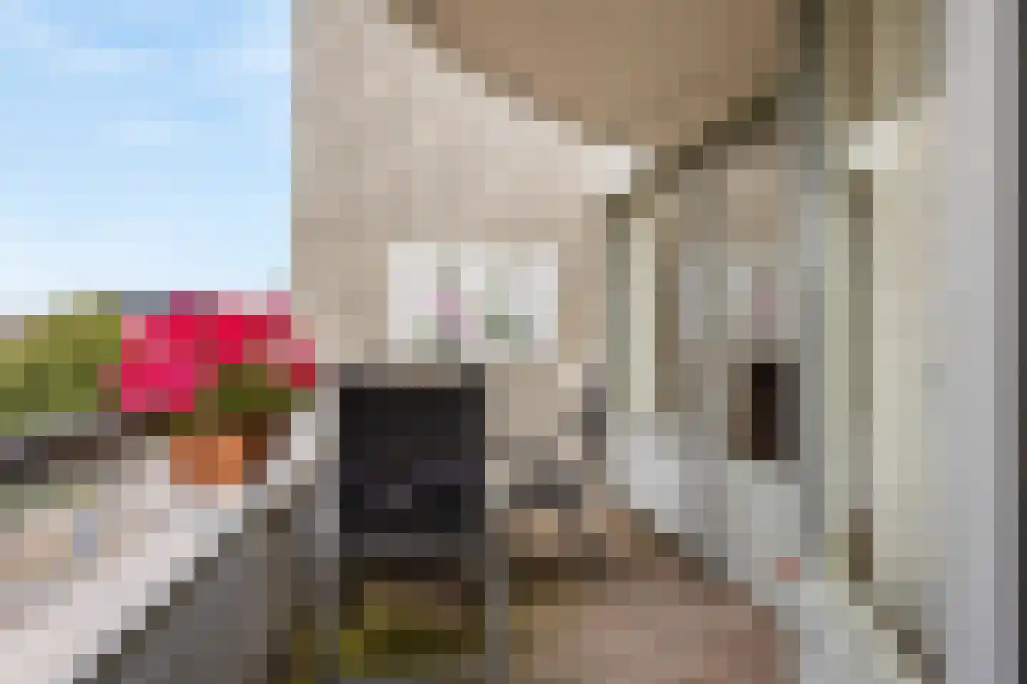 Nathaliegang 164 Zoetermeer thumbnail 13