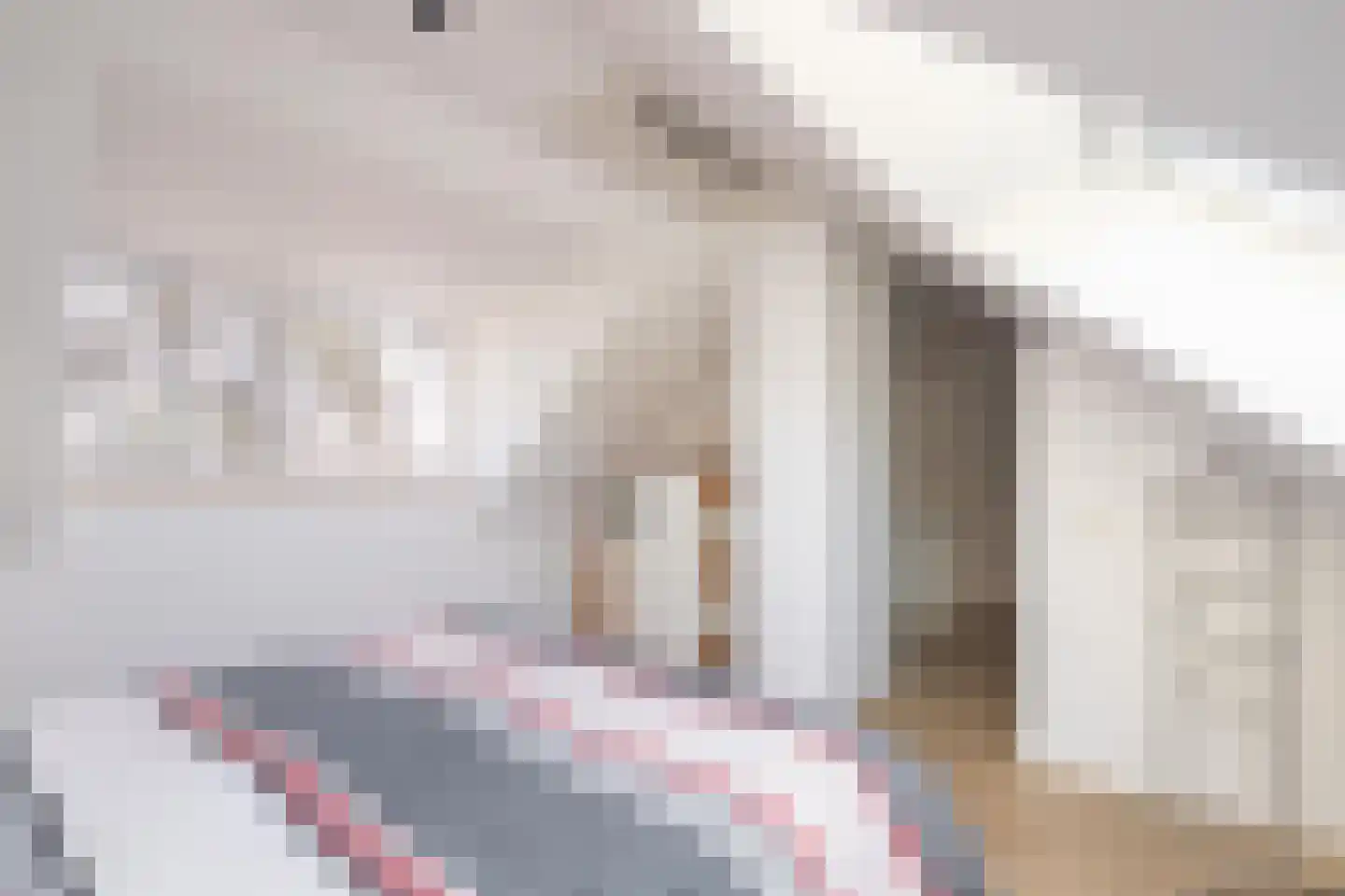 Nattenhover Koestraat 2 Urmond thumbnail 29