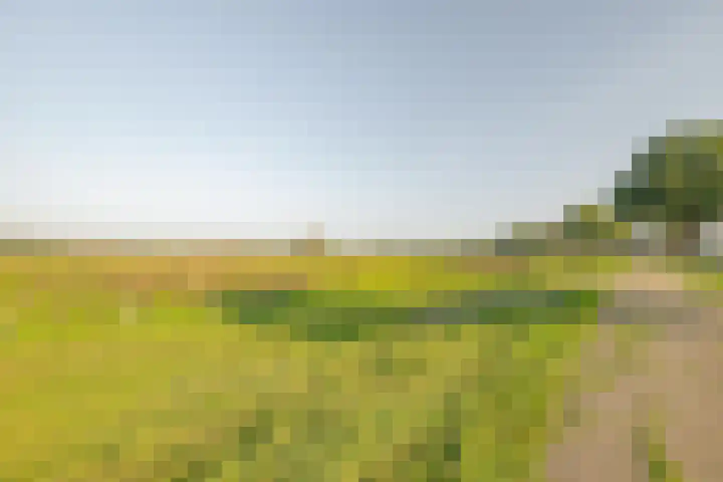 Nattenhover Koestraat 2 Urmond thumbnail 38