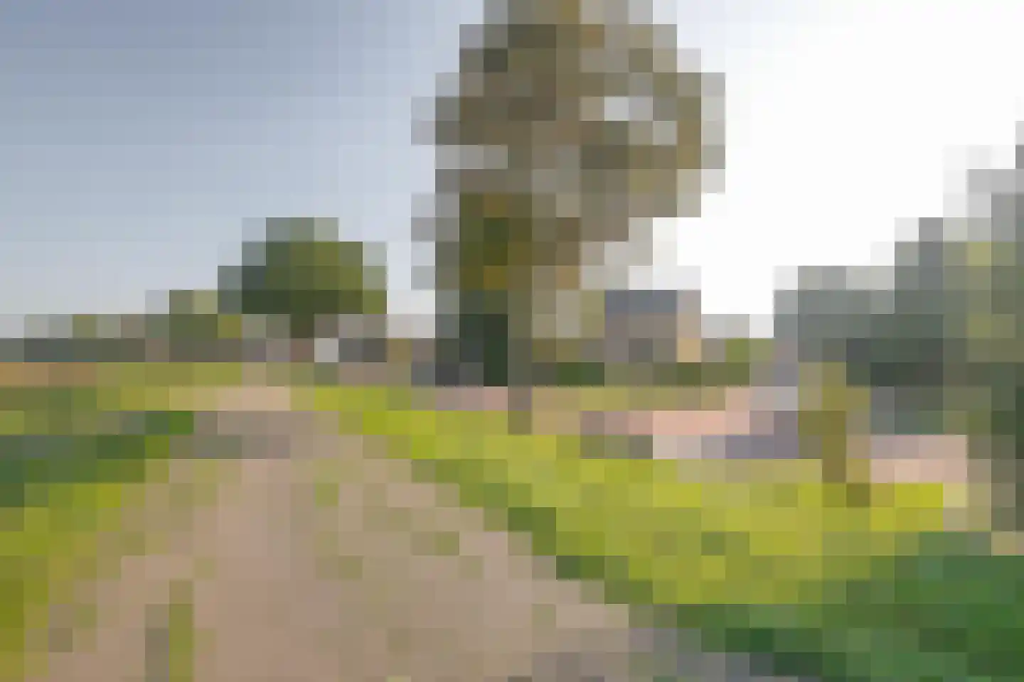 Nattenhover Koestraat 2 Urmond thumbnail 39