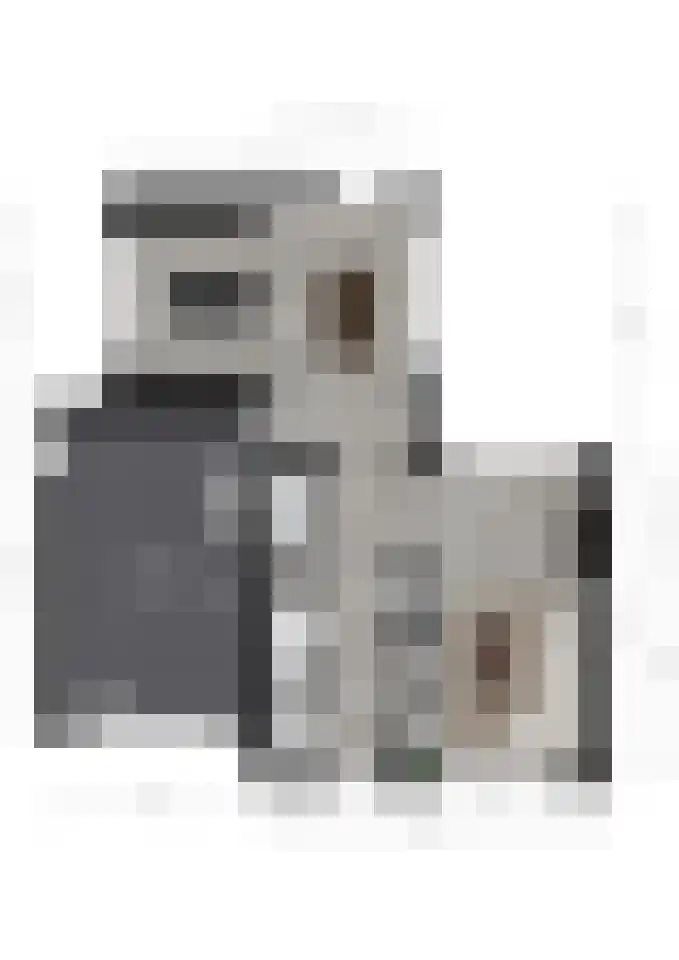 Nattenhover Koestraat 2 Urmond thumbnail 40