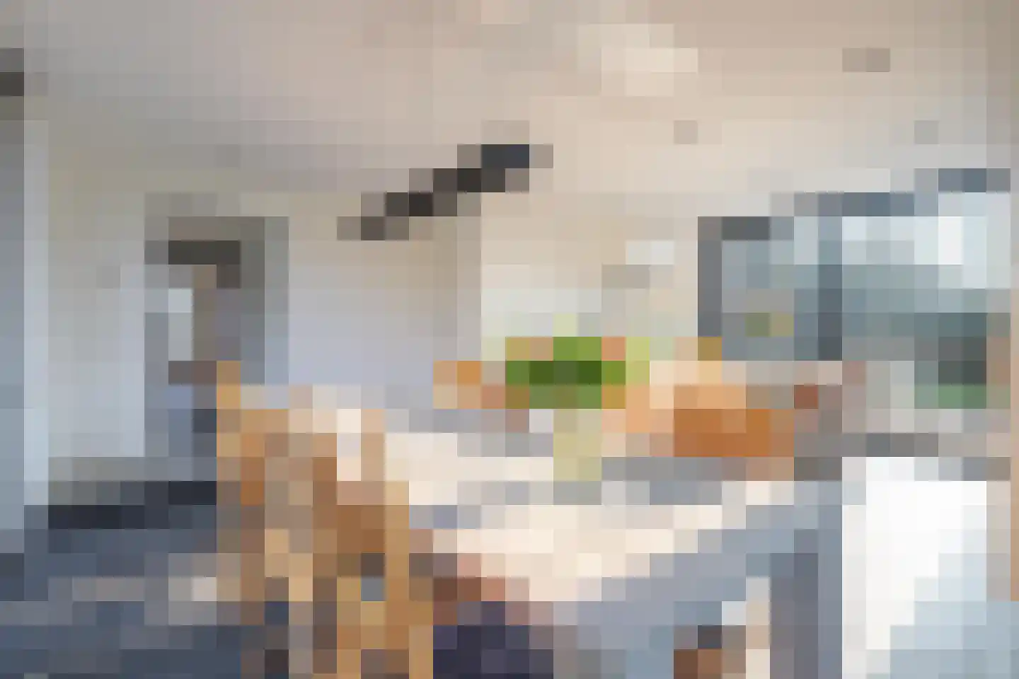 Nattenhover Koestraat 2 Urmond thumbnail 9