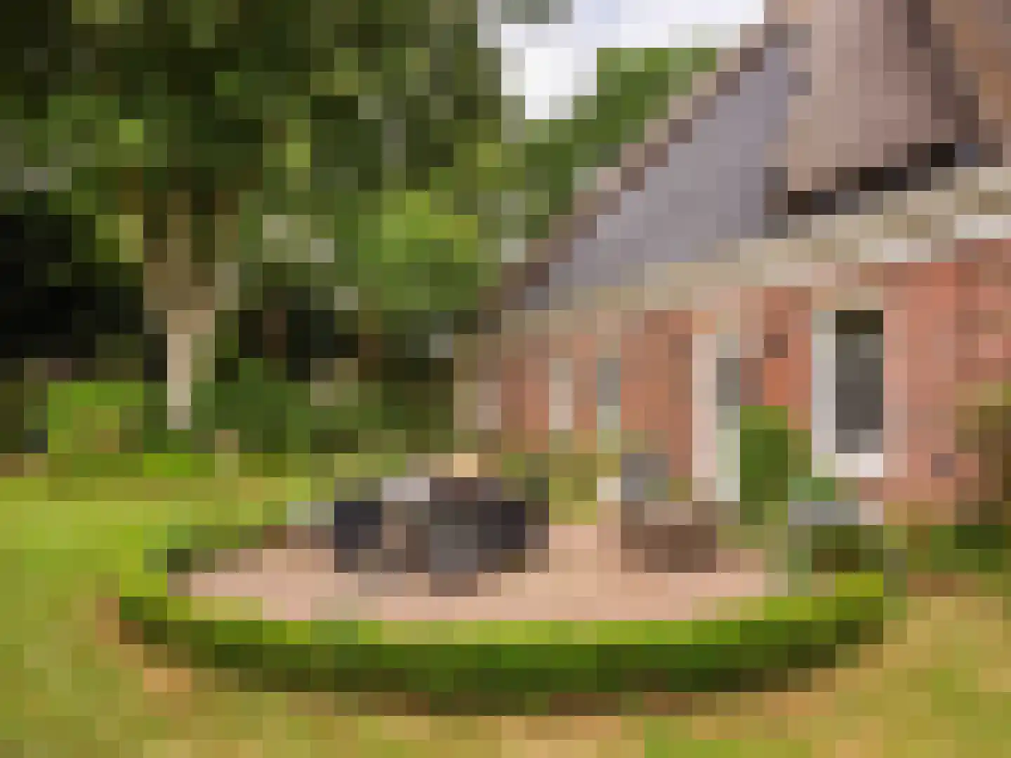 Natteweg 13 Bergen (NH) thumbnail 18