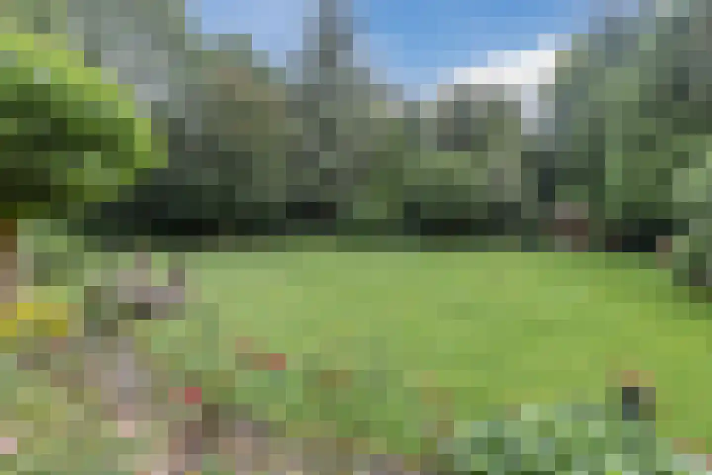Natteweg 22 Bergen (NH) thumbnail 4