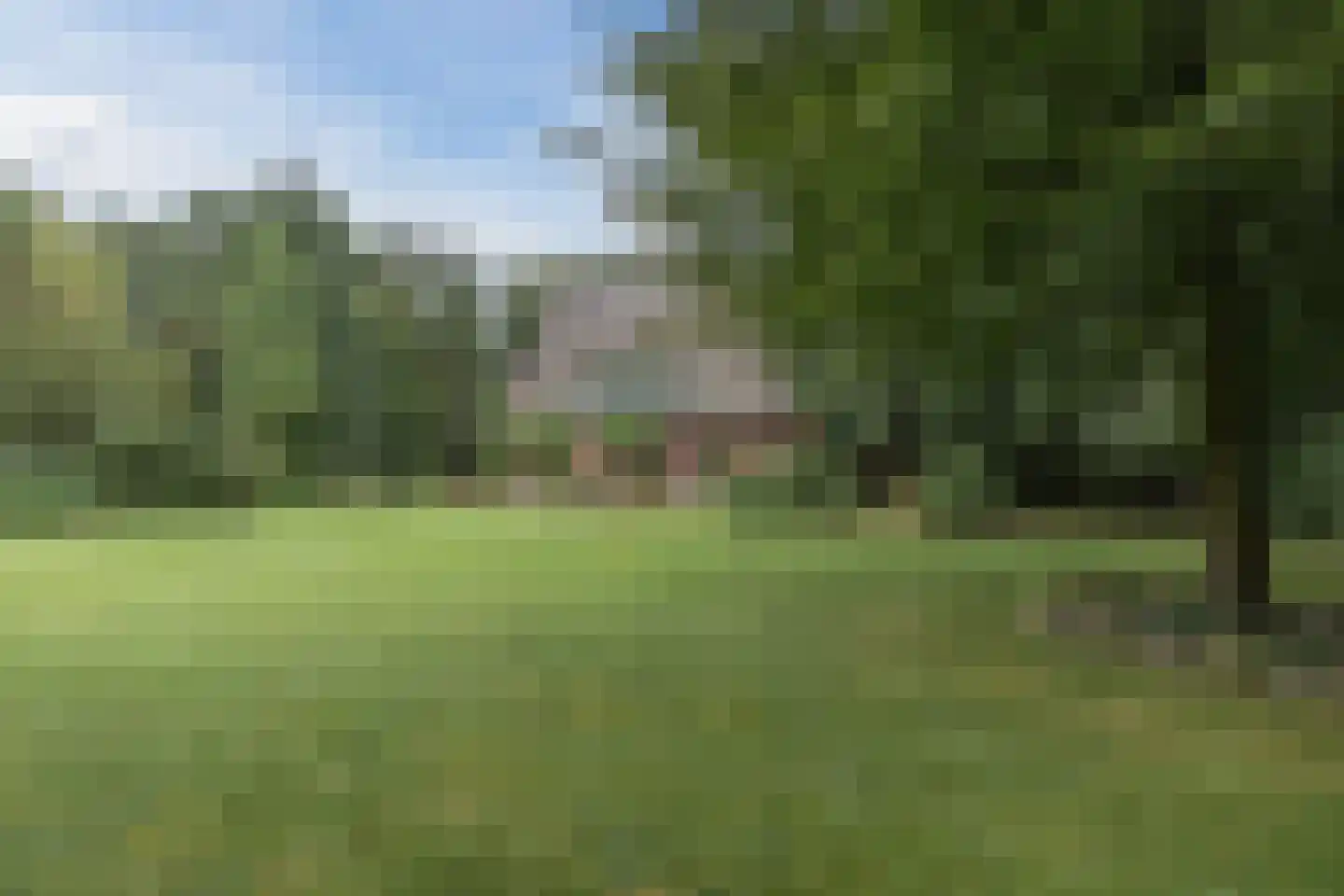 Natteweg 22 Bergen (NH) thumbnail 46