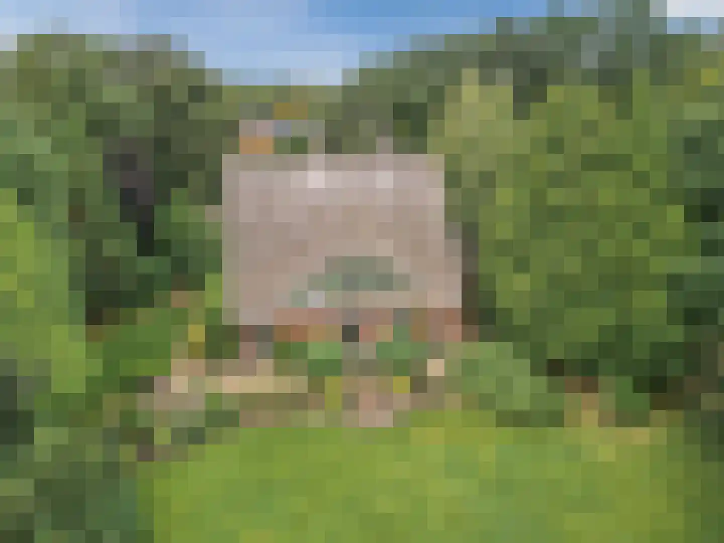 Natteweg 22 Bergen (NH) thumbnail 51