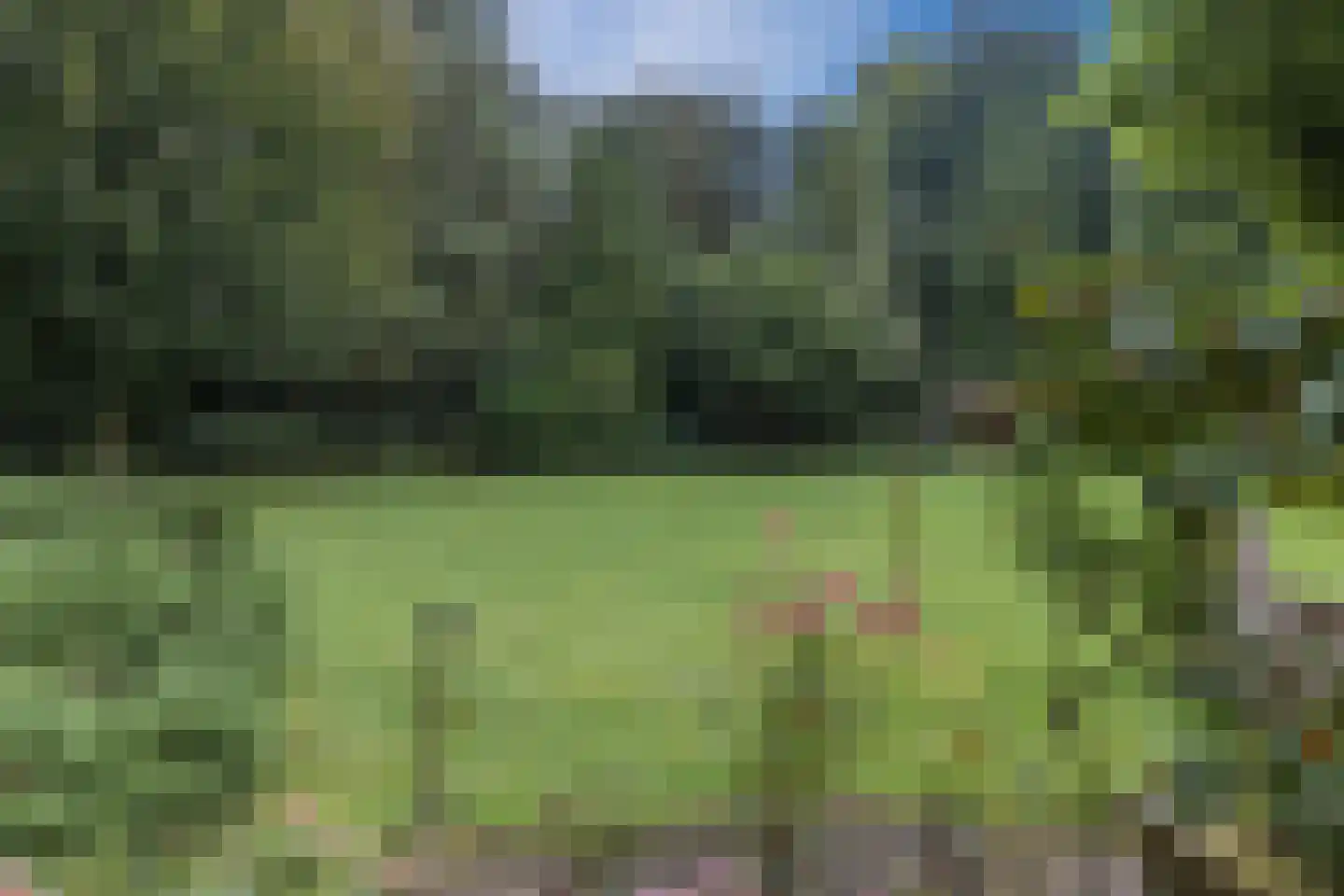 Natteweg 22 Bergen (NH) thumbnail 53