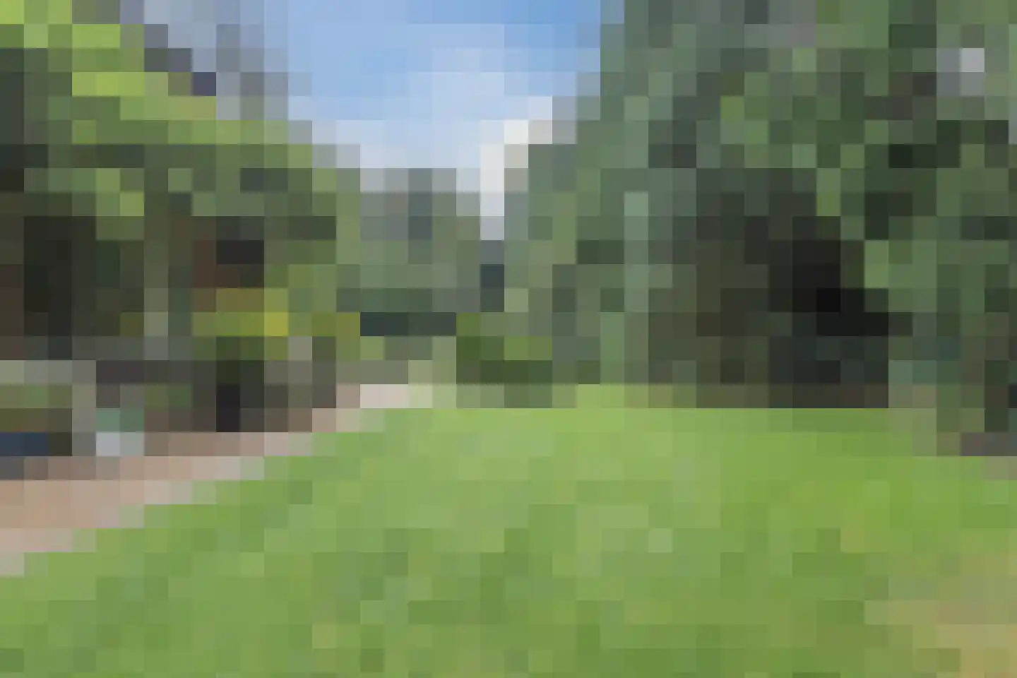 Natteweg 22 Bergen (NH) thumbnail 55