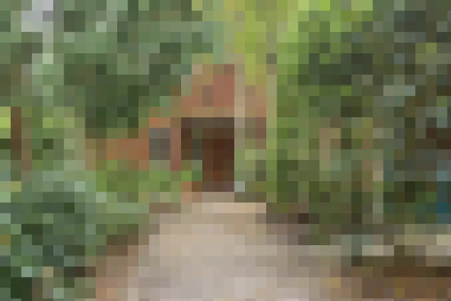 Natteweg 22 Bergen (NH) thumbnail 6