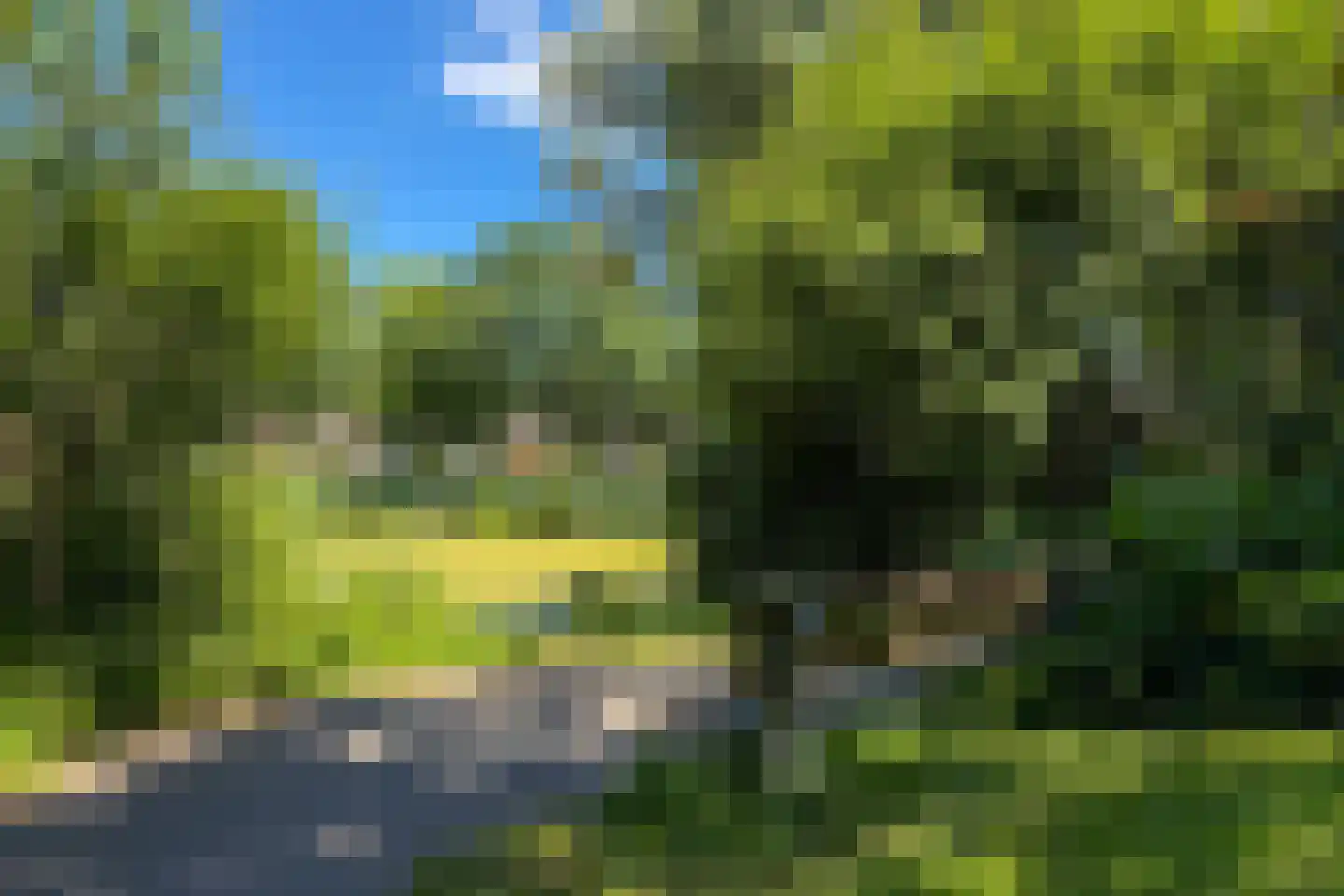 Natteweg 35 Bergen (NH) thumbnail 53