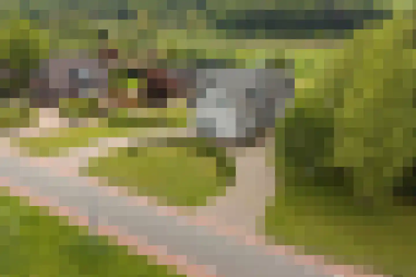 Natteweg 43 Venlo thumbnail 5