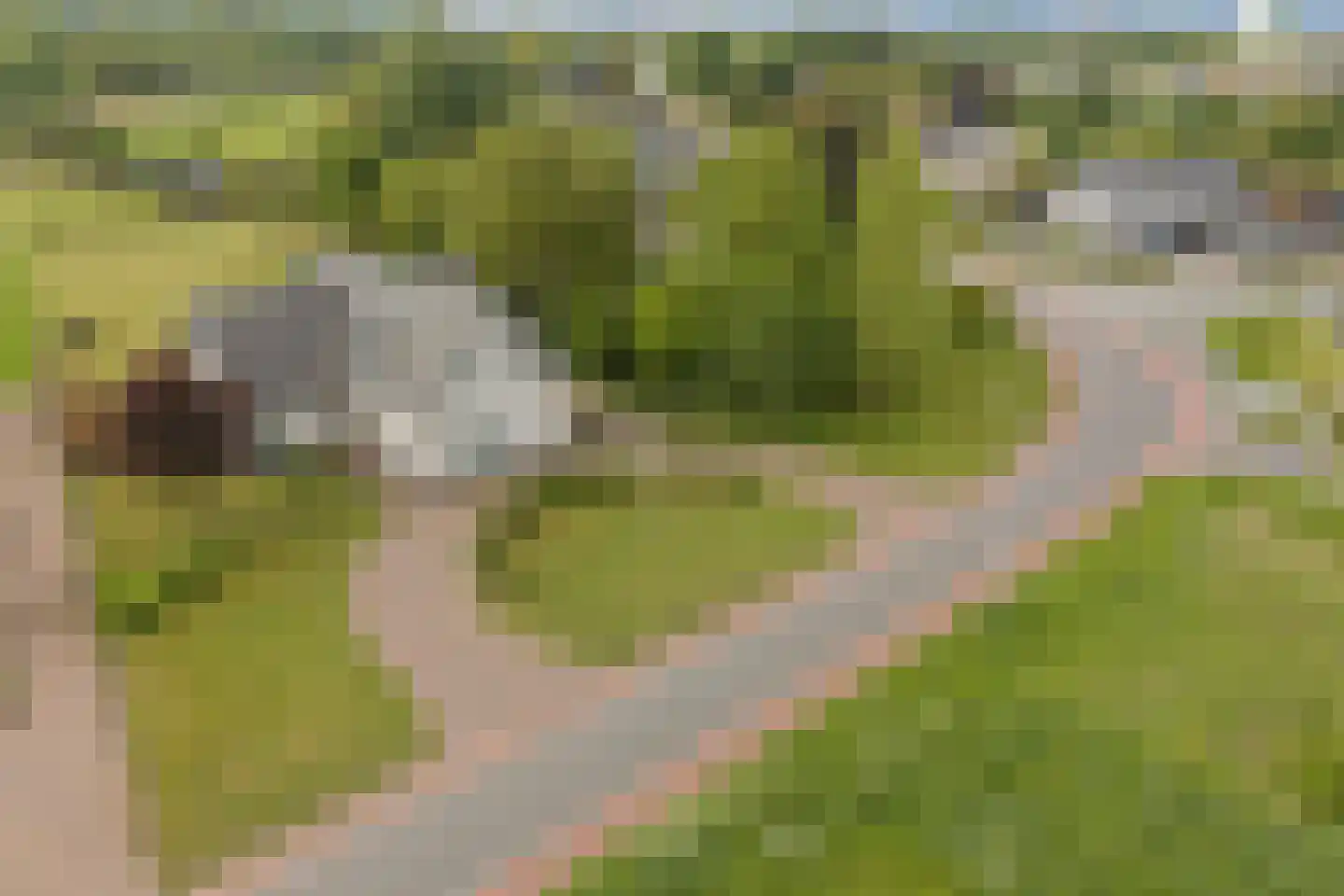 Natteweg 43 Venlo thumbnail 6