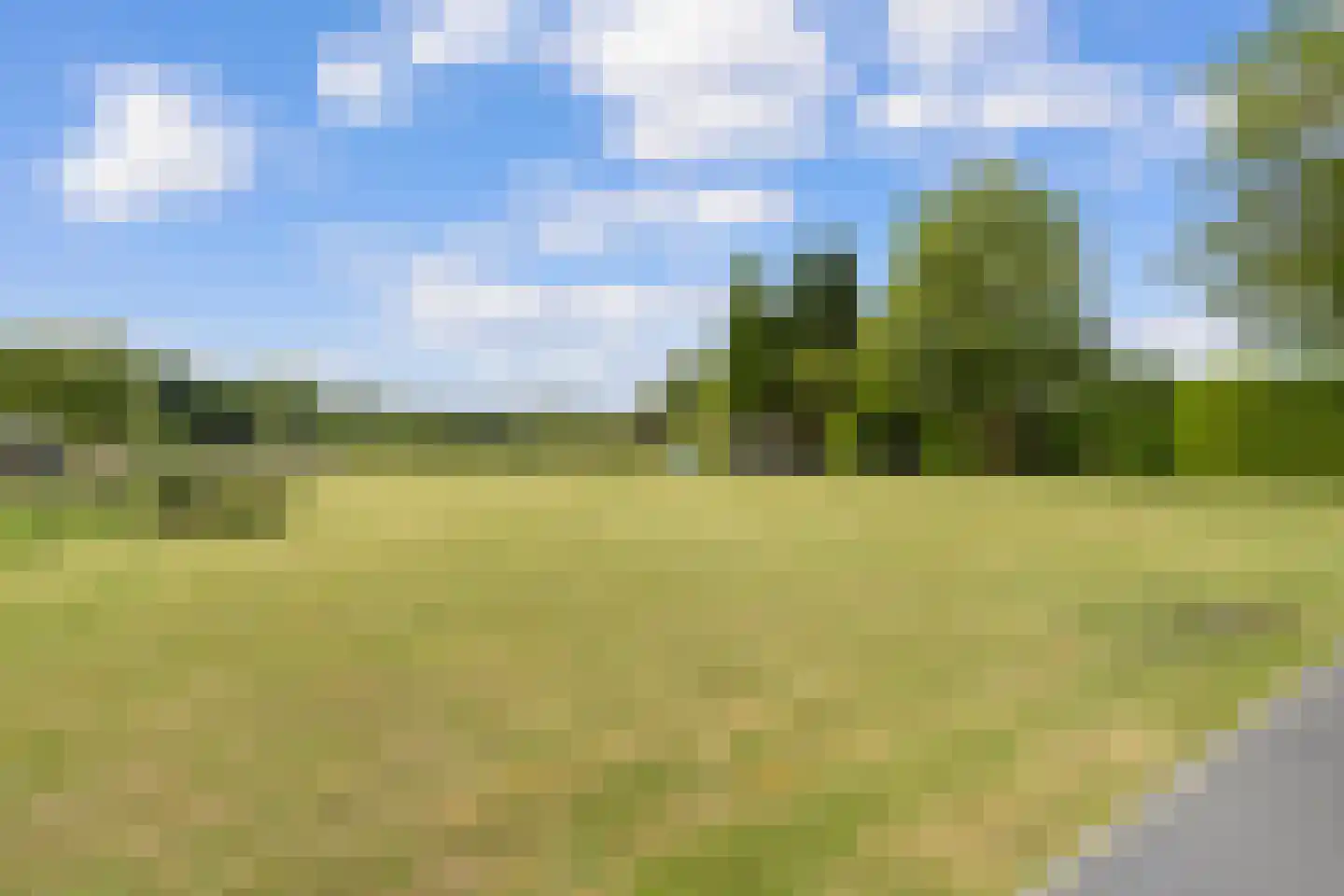 Natteweg 43 Venlo thumbnail 66